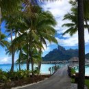 보라보라 이미지