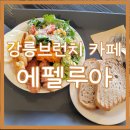 루아네 하우스 | 강릉브런치 카페 에펠루아 브런치, 디카페인, 쑥떡쑥떡 후기