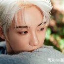 따자하오 이미지