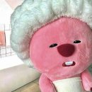 세움디자인 이미지