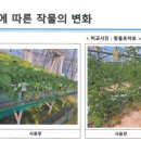 레독스글로벌