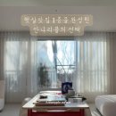 삼보세탁 | 지축역센트럴푸르지오 커튼·블라인드 전체 시공후기, 햇살맛집 1층을 완성한 안나리플의 선택