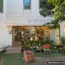 원주 놀거리 데이지꽃 가득한 야외 테라스 카페 사진정원 방문후기