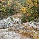 응봉농장 이미지