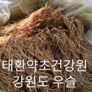 태환약초건강원