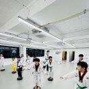 용인대한국태권도장 이미지