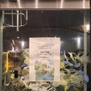 백운당구클럽 | 시흥 카페추천 대화하기 좋은 곳 카페배다배 | 서울근교 카페추천 후기! +카페 근황