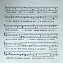 노스터(Noster) 이미지