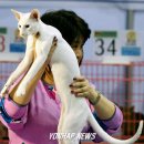 오리엔탈무역 이미지