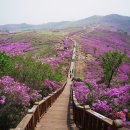 고일주유소 이미지