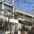 문탠로드 주차장내 | 부산 브런치 달맞이길 소보 (SOBO) — 사진 잘 나오는 감성 카페, 메뉴 솔직 후기!