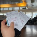 썬LPG충전소 | 울릉도여행 배편 예약방법 가격 포항 후포 탑승후기 총정리