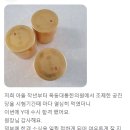 의대합격소식/재수생보약/총명공진단