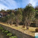 영원목장 이미지