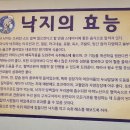 장위동맹가네 이미지