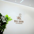청담 장튼튼내과동물병원 이미지