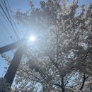 방화마을 | 강서구 방화역 [방화동 쭈꾸미마을 1997] 방문 후기