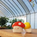 이인농장 이미지