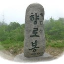 뒷골2로 Daum카페