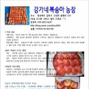 강가네농장