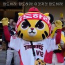 구로-고척-구로-1987 | V12 기아우승 일주일🐯👑 (야구를 대신할 수 있는것은 야구밖에 없다.../프리미어12 평가전 쿠바전 후기)