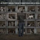 조종농장 이미지