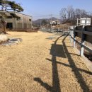 내가면-2 이미지