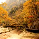 여주-1083 이미지