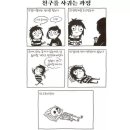 더메이헴