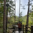 등산]강원도 두타산 한국의 장가계 베틀바위-무릉계곡 코스 및 후기, 캠핑과 등산 일타쌍피로 뿌셔버려