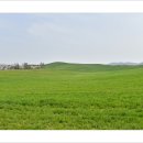 서산농장 이미지