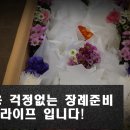 사랑애상조 이미지