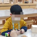 한국체대백궁태권도