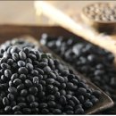 콩이야기 이미지