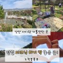 노적봉 도당지 | 경기 안산 아이랑 가볼만한곳, 노적봉폭포 당일 피크닉 장소 추천!