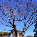 두량3리 이미지