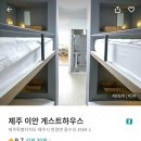 써니허니 게스트하우스 | [겨울 제주도] 여자 혼자 떠나는 4박 5일 겨울 여행💃(준비)