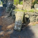 숲속오두막 | 제주도 카페 5L2F 방문후기 | 숲속 오두막 감성에 시그니처 듀오와 군밤까지