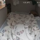 다민동물병원 이미지