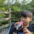 음봉닭집