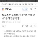 ECB(유로존/유럽중앙은행)금리인상 이미지