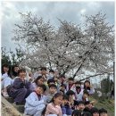 경희대XPL태권도장 이미지