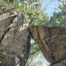 양지리(원동) 마을회관 | 코리아둘레길 109회 20250110 남파랑길 89, 88코스 남창터미널에서 화흥초등학교까지