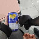 서강화농업협동조합주문간이지점 | 겨울 후쿠오카 3&amp;4일차! (25.12.26~25.12.27)