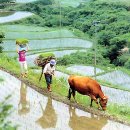 풍경(風景) 이미지