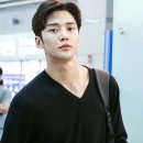 멍뭉 이미지