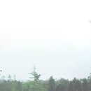 대인생역전