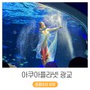 아쿠아플라넷 광교 머메이드쇼 후기 (ft. 인터넷 할인 티켓 구매 주의 사항)
