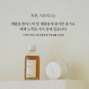[내돈내산] JYP * SIORIS 비건 자연주의 화장품 시오리스(feat. 인생밀크클렌저, 에세너, 토너, 립밤...