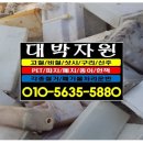 동 헌 이미지